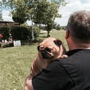 Meet your Posher, Russell